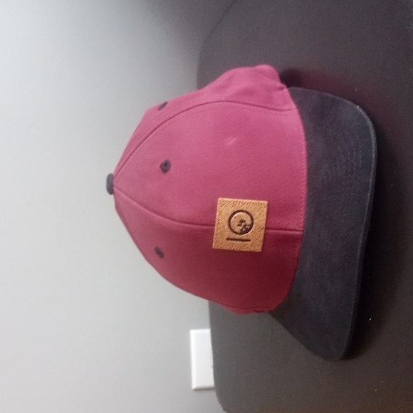 Tentree Cork Emblem Snapback Baseball Cap - Picture 10 of 10